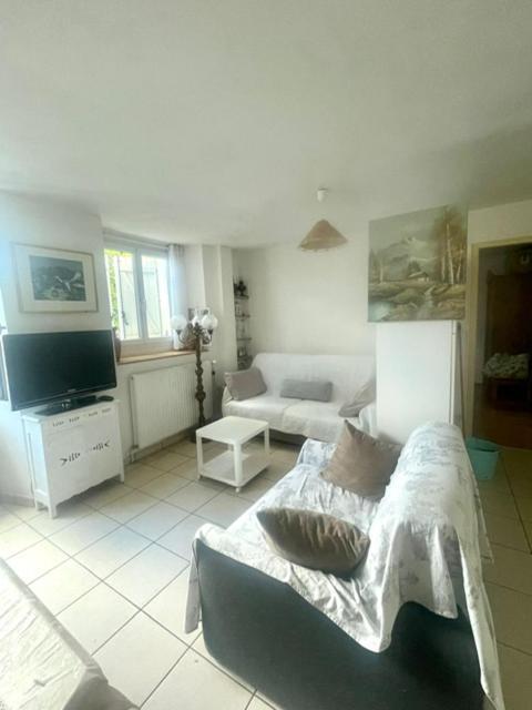 Apartament Les Lucioles Thonon-les-Bains Zewnętrze zdjęcie