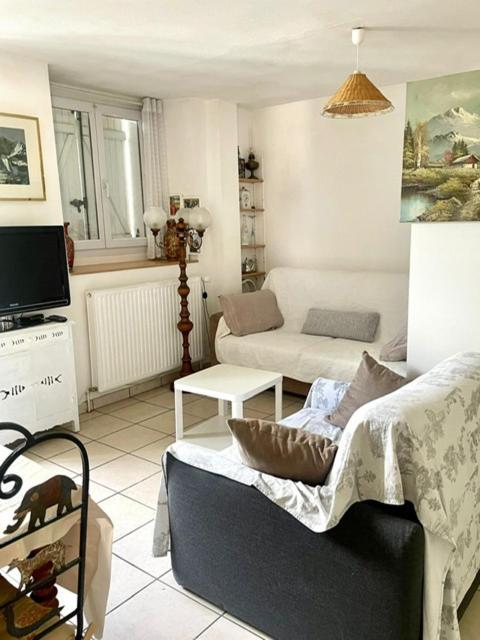 Apartament Les Lucioles Thonon-les-Bains Zewnętrze zdjęcie